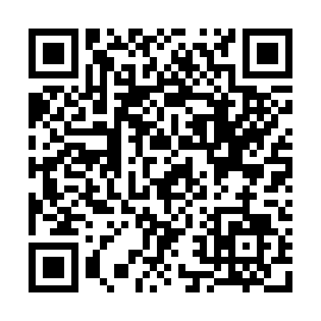 QR code for S2234