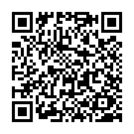 QR code for S295