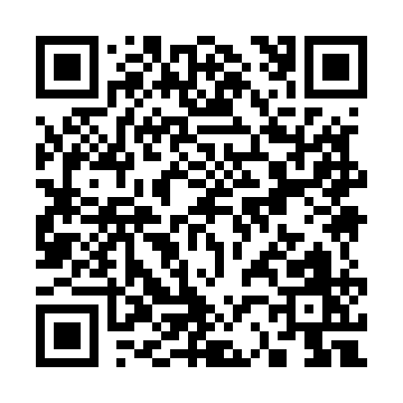 QR code for S2951