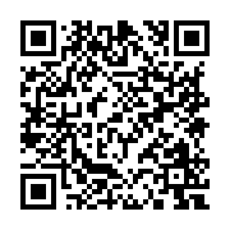 QR code for S2991
