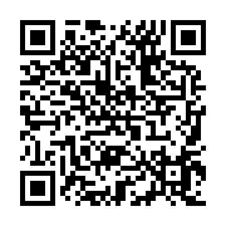 QR code for S4991