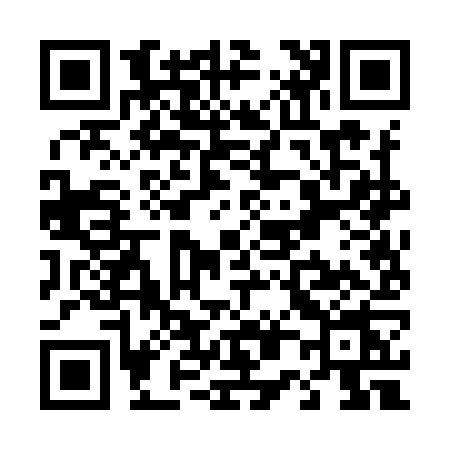 QR code for T029