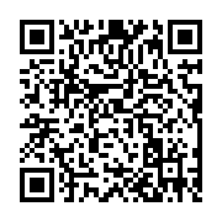 QR code for T0382