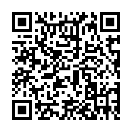 QR code for T0595