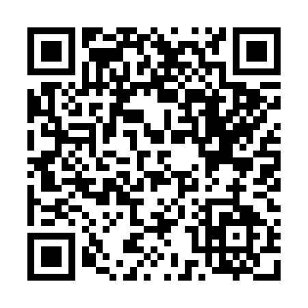 QR code for T0925