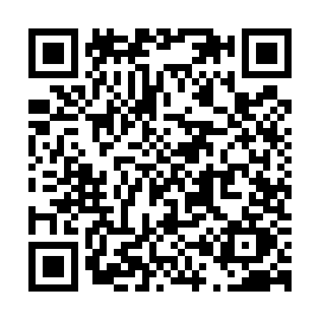 QR code for T095