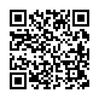 QR code for T11