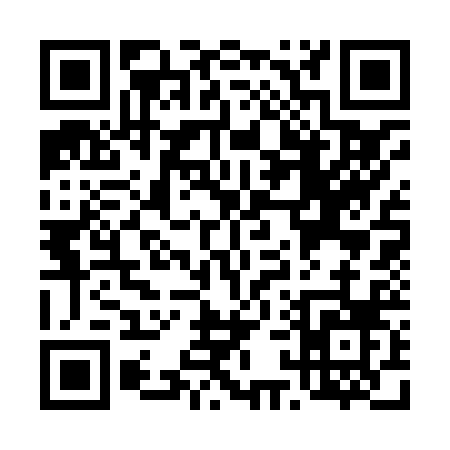 QR code for T1382