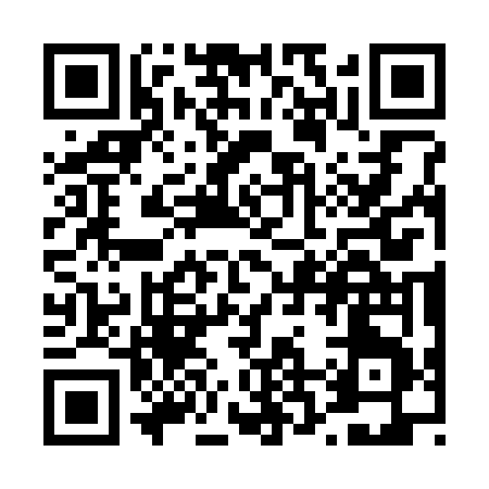 QR code for T2336