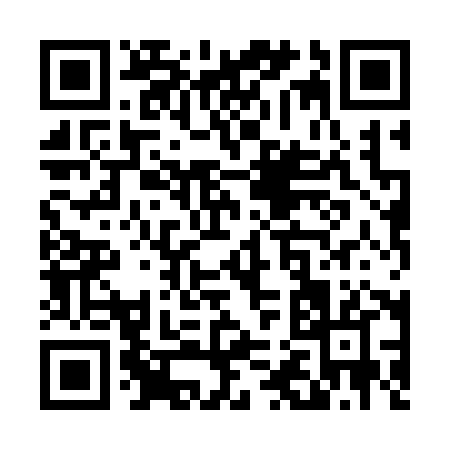 QR code for T2838