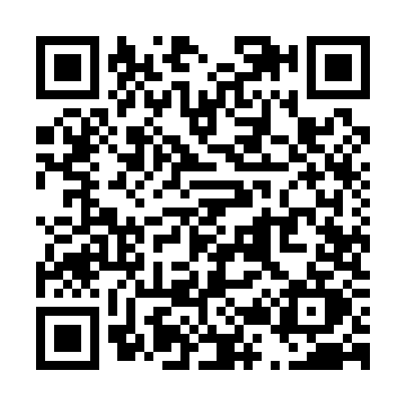 QR code for T291