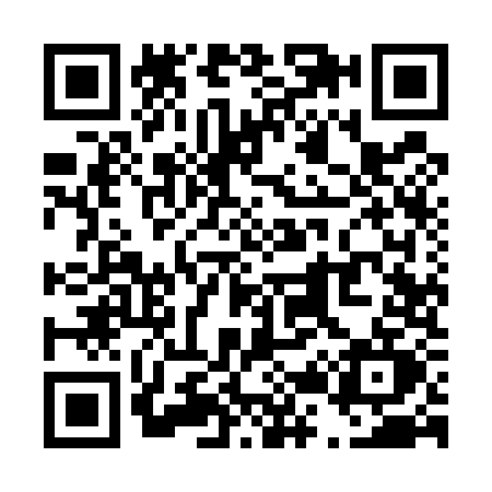 QR code for T295