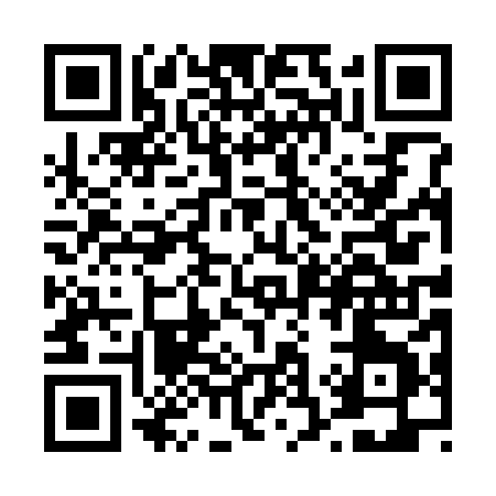 QR code for T3038