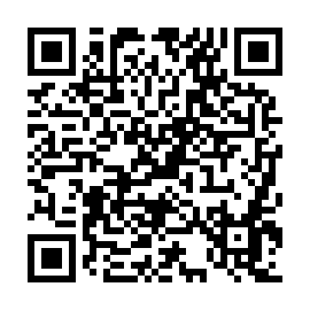 QR code for T3095