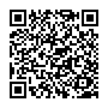QR code for T313