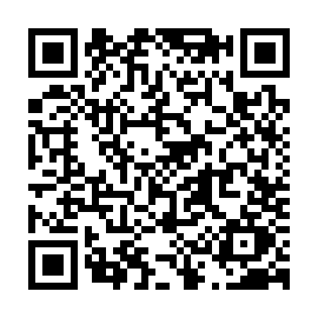 QR code for T333