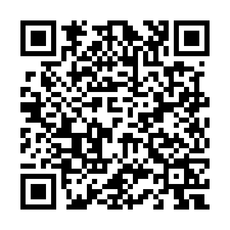 QR code for T335