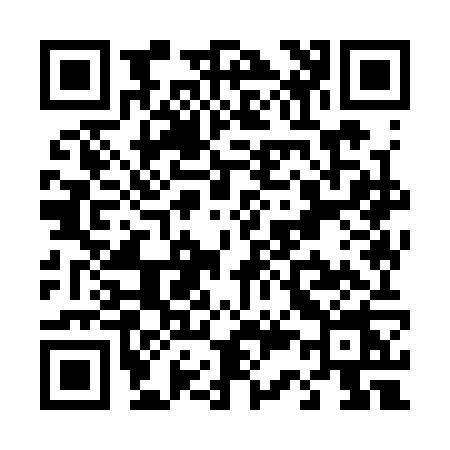 QR code for T393