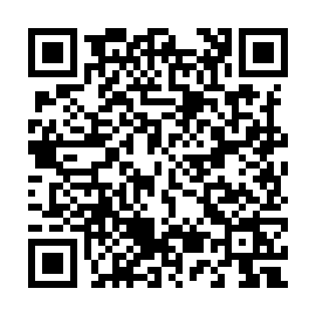 QR code for T509