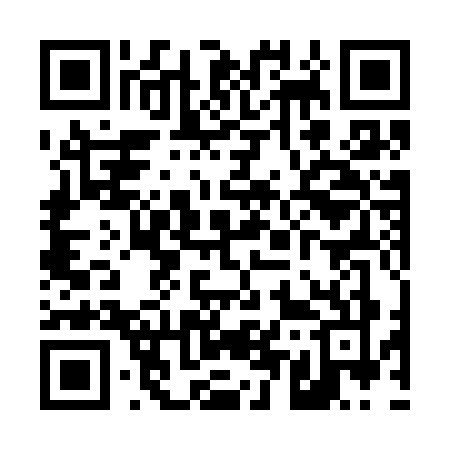 QR code for T513