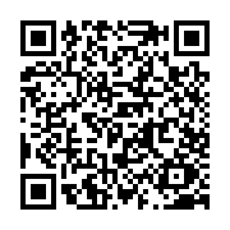 QR code for T613