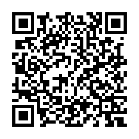 QR code for T911