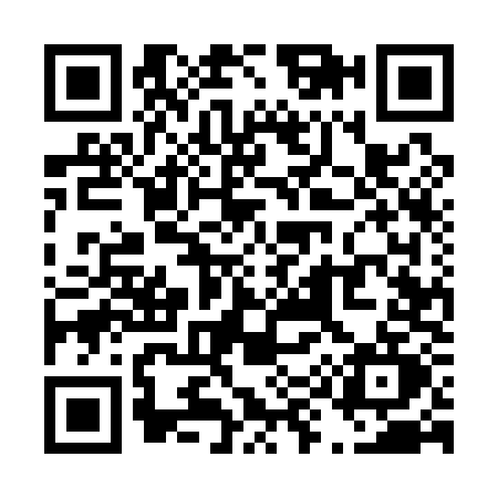 QR code for T951
