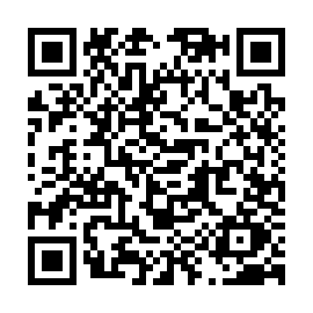 QR code for T953