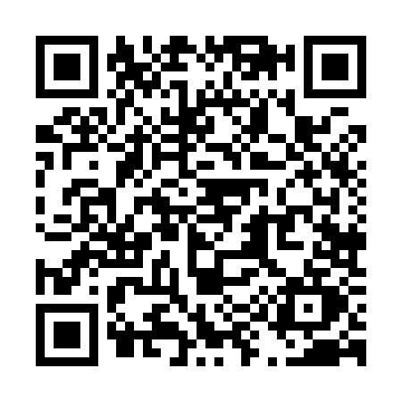 QR code for T989