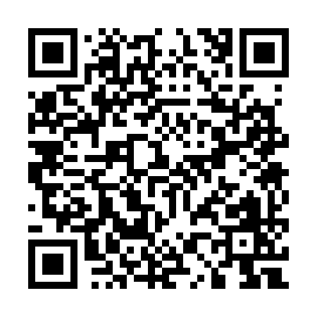 QR code for U0339