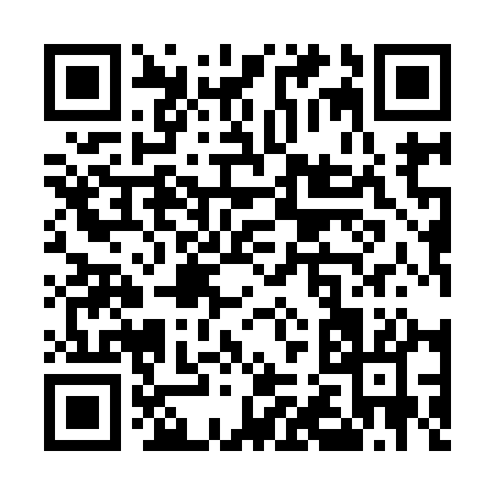 QR code for U2991