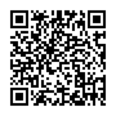 QR code for U3895
