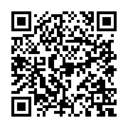 QR code for U3913