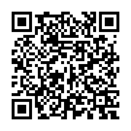 QR code for U493