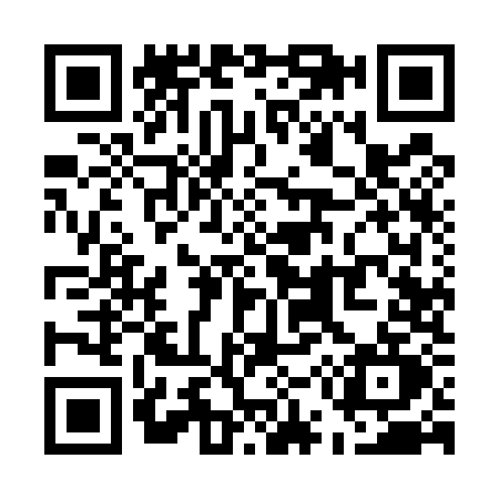 QR code for U595