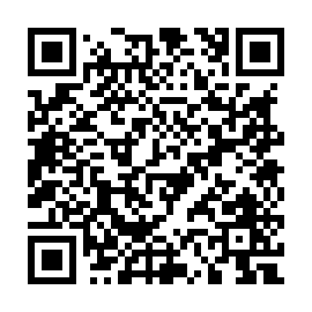 QR code for U6385