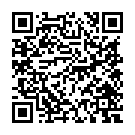 QR code for U7384
