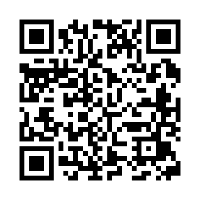 QR code for V11