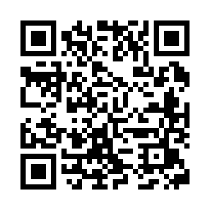 QR code for V17