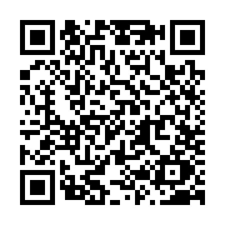 QR code for V233
