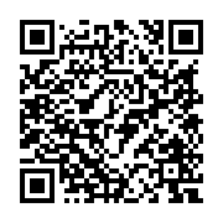 QR code for V2385