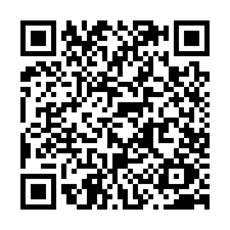 QR code for V313
