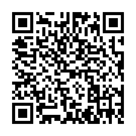QR code for V3138