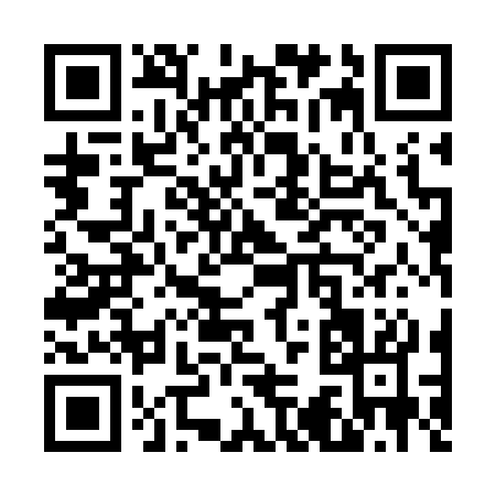 QR code for V3173