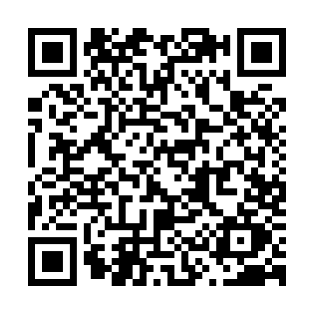 QR code for V318