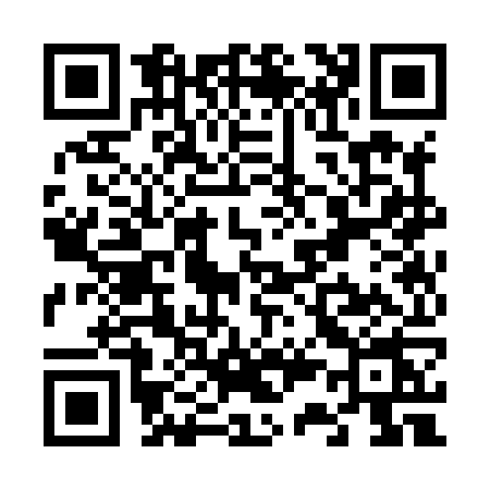 QR code for V338