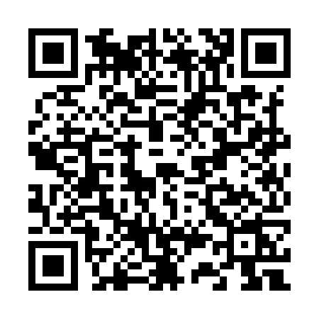 QR code for V339