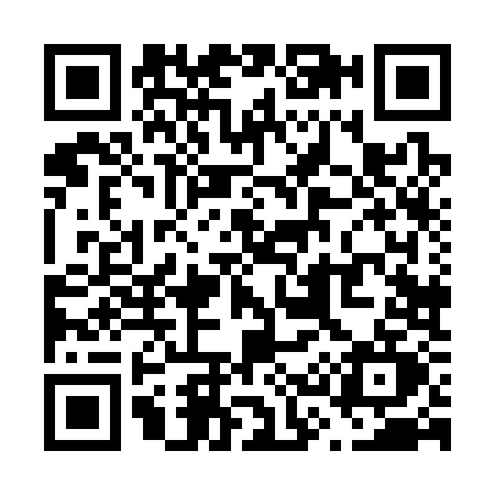 QR code for V383