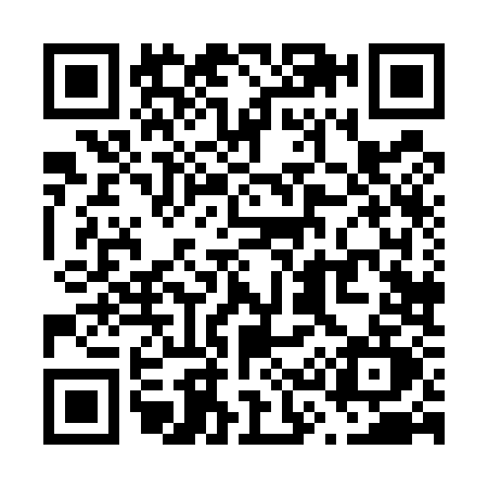 QR code for V385