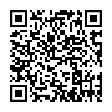 QR code for V3997